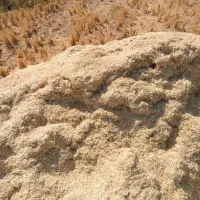 کاه گندم|لوازم جانبی حیوانات|گلپایگان, |دیوار