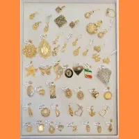 پلاک و نیم‌ست بدون‌اجررت ، ایران زمین