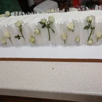 کیک|خدمات پذیرایی، مراسم|زاهدان, |دیوار