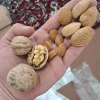 گردو و بادام تحویل درب منزل|خوردنی و آشامیدنی|شاهین‌شهر, شهرک گلدیس|دیوار