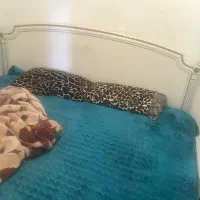 تخت دونفره سالم