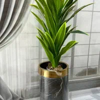 مدل برای فیشیال