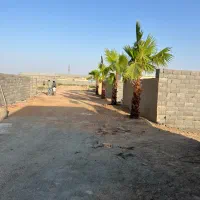 باغ ۳۱۰متری مجوعه