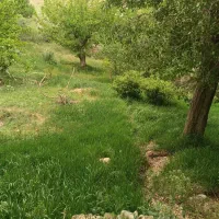 فروش باغ ۱۱ هکتاری با قنات اختصاصی در منطقه قاهان|فروش خانه و ویلا|قم, آزادگان|دیوار