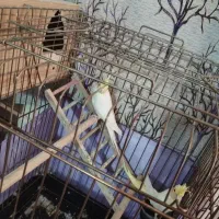 عروس هلندی لوتینو مولد|پرنده|اسلام‌شهر, شهرک امام حسین (میان آباد)|دیوار