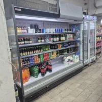 یخچال جلوباز داموس