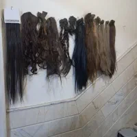 مومصنوعی شینیون