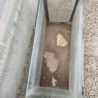 آکواریوم|لوازم جانبی حیوانات|فولادشهر, مسکن مهر فولادشهر|دیوار