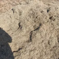 کاه ماش|خدمات باغبانی و درختکاری|گتوند, |دیوار