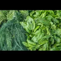 سبزی پاک میکنم میشورم خوردمیکنم