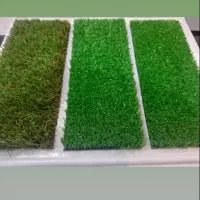 فروش ویژه انواع چمن مصنوعی، ارسال رایگان|مصالح و تجهیزات ساختمان|شاهینشهر, بانک استان|دیوار