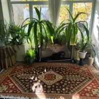 اجاره کوتاه مدت یک واحد حیاط دارمبله|اجارهٔ کوتاه‌مدت آپارتمان و سوئیت|خوانسار, |دیوار