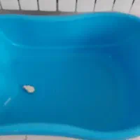 لگن ، وان حمام کودک