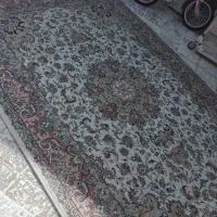 قالی وگلیم فرش|فرش|شیراز, مسلم|دیوار