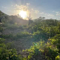 فروش زمین ۳۰۰ متری|فروش زمین و ملک کلنگی|شازند, |دیوار