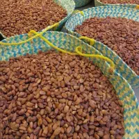 خرما بدون هسته