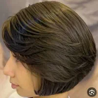 باب لیر و شگی یا ولف کات