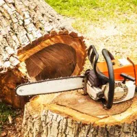 برش چوب با اره برقی