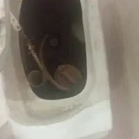 توالت فرنگی