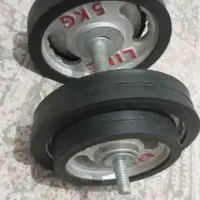 دمبل ۱۵ کیلویی در حد نو