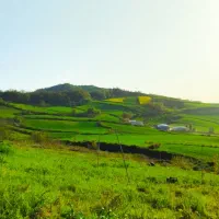 ۱۷۰۰ متر کشاورزی شهرک صنعتی