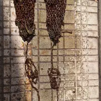 زنجیر چرخ اتریشی