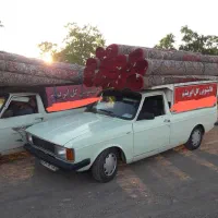 قالیشویی گل ابریشم