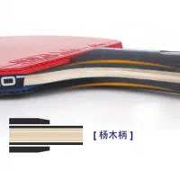 راکت پینگ پنگ تنیس روی میز اورجینال|ورزش‌های توپی|قم, علی آباد سعدگان|دیوار