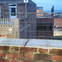 یک قفس بزرگ با چند لانه مرغ عشق