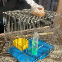 قفس|لوازم جانبی حیوانات|هشتگرد, شهرک راه آهن|دیوار