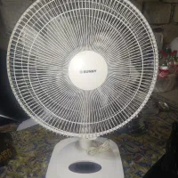 پنکه زمینی