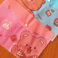 پوشه دکمه دار فانتزی|لوازم التحریر|بیرجند, |دیوار