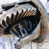 کله گاوی. ایسوزو