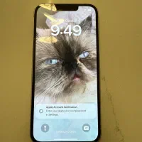 آیفون ۱۳ با ظرفیت ۵۱۲ - iPhone 13 512|موبایل|تهران, فرمانیه|دیوار