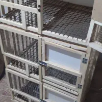 قفس جفتگاه|لوازم جانبی حیوانات|داراب, |دیوار