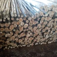 پخش عمده تخته بنایی و بشکه و انواع چوب های ابعادی|عمدهفروشی|قم, زاویه|دیوار