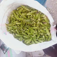 بامیه|خوردنی و آشامیدنی|اهواز, سیاحی(سه راه خرمشهر)|دیوار