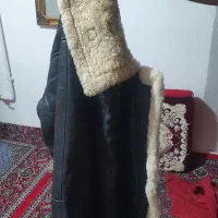 بوفالو خارجی اصل