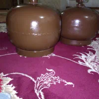دوعدد پیک نیک