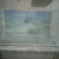آکواریوم