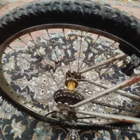 دوچرخه 24|دوچرخه، اسکیت، اسکوتر|شیراز, کرونی(خاتونک)|دیوار