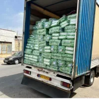 پوشک مولفیکس قیمت قبل (فقط خورده فروشی)