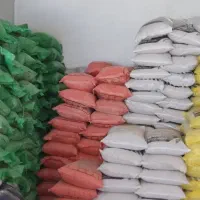 جو  دیم بذری بوجار نشده