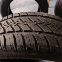 لاستیک|قطعات یدکی و لوازم جانبی|شیراز, شاهچراغ|دیوار