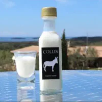 شیر الاغ