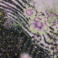 چادر زیبا|لباس|چابهار, |دیوار