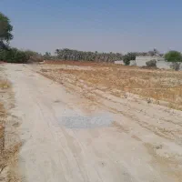 زمین مخصوص خانه باغ پشت بانک سپه|فروش زمین و ملک کلنگی|برازجان, |دیوار