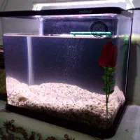 حراج پایه سشوارو...اکواریوم