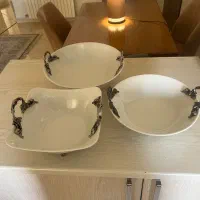 ظروف پذیرایی