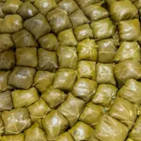 انواع دلمه  و سمبوسه(برگ مو .کلم برگ) کلی و جزئی